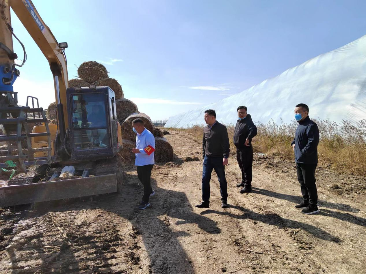 bv伟德国际1946集团纪委开展秋季禁烧监督 检查工作(图1)